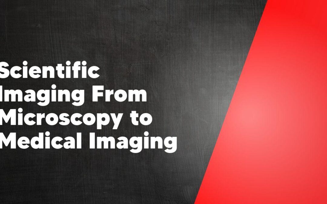 Scientific Imaging From Microscopy to Medical Imaging
