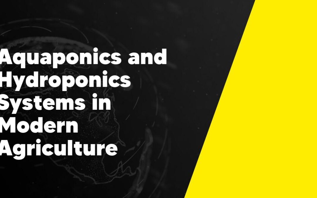 Aquaponics and Hydroponics Systems in Modern Agriculture